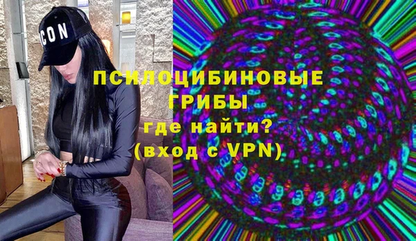 прущая мука Новодвинск