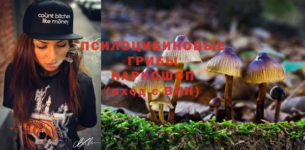 эйфоретик Новозыбков
