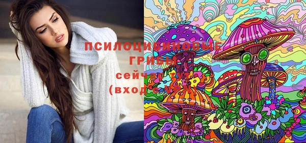 винт Нягань