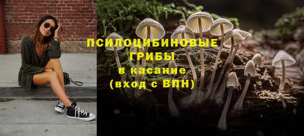прущая мука Новодвинск