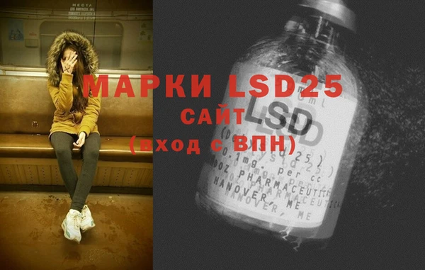эйфоретик Новозыбков