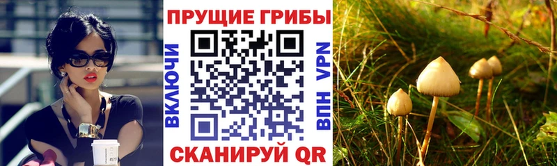Галлюциногенные грибы прущие грибы Курлово